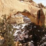 Capital Reef National Park - Utah 